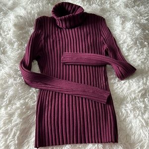 Gorgeous Sundance Turtlneck